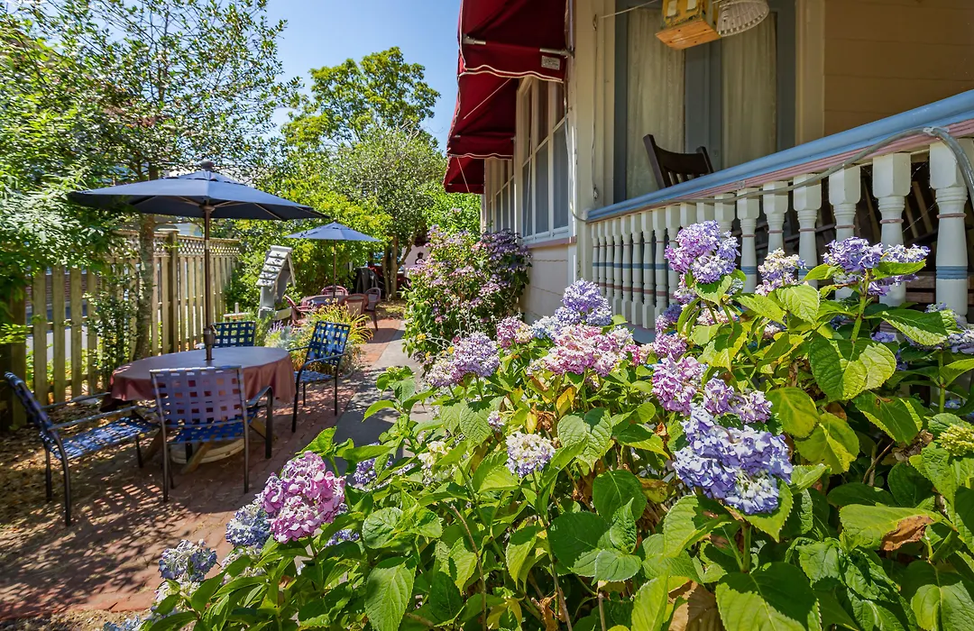 Antoinette'S Apartments & Suites-1